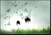 The Vanishing of the Bees