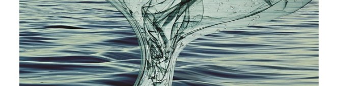 Our new piece in the latest issue of The Environment&nbsp;magazine